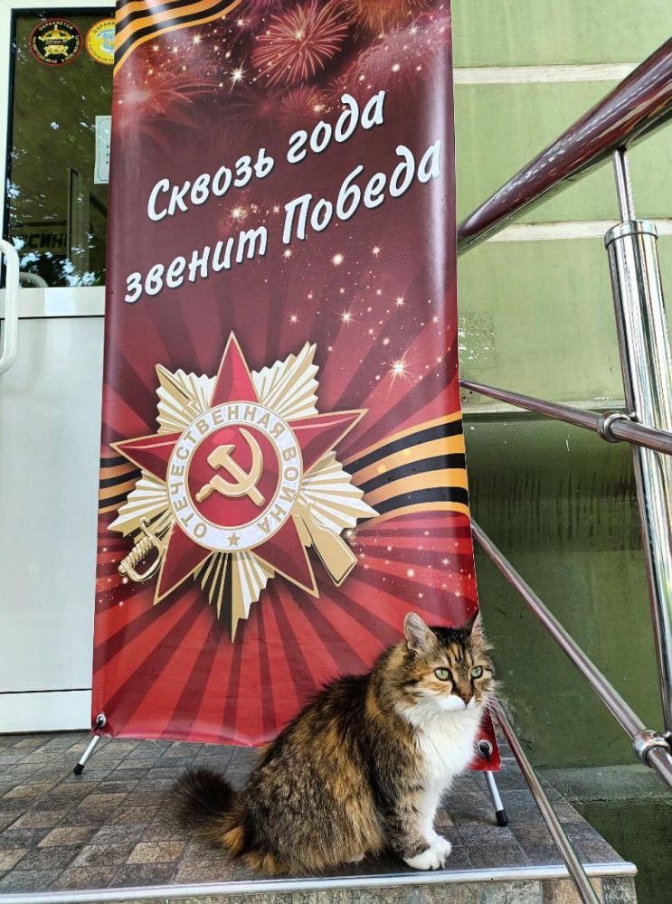 Поздравление с праздником Победы
Поздравление с праздником Победы