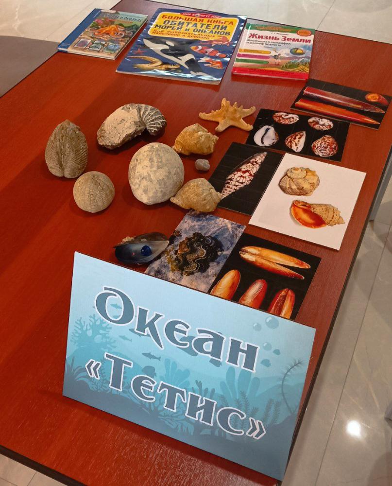 История морей и океанов
История морей и океанов