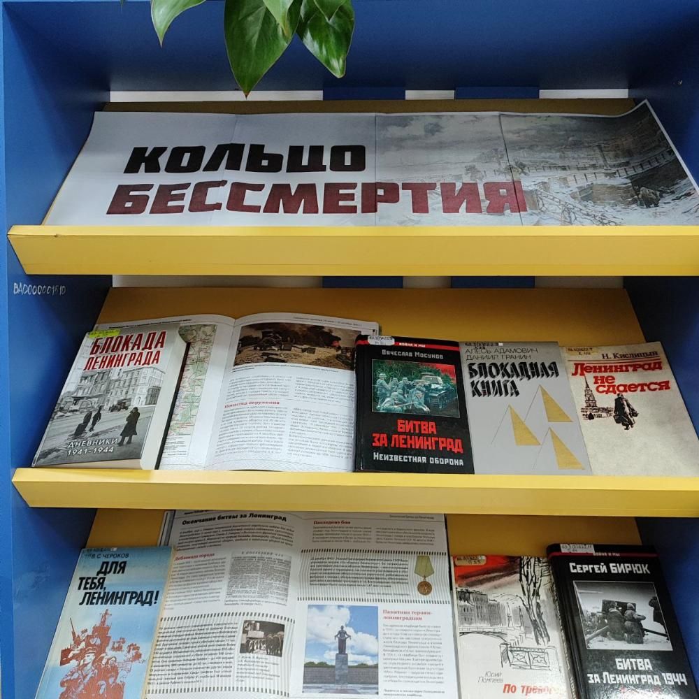 Кольцо бессмертия
Кольцо бессмертия