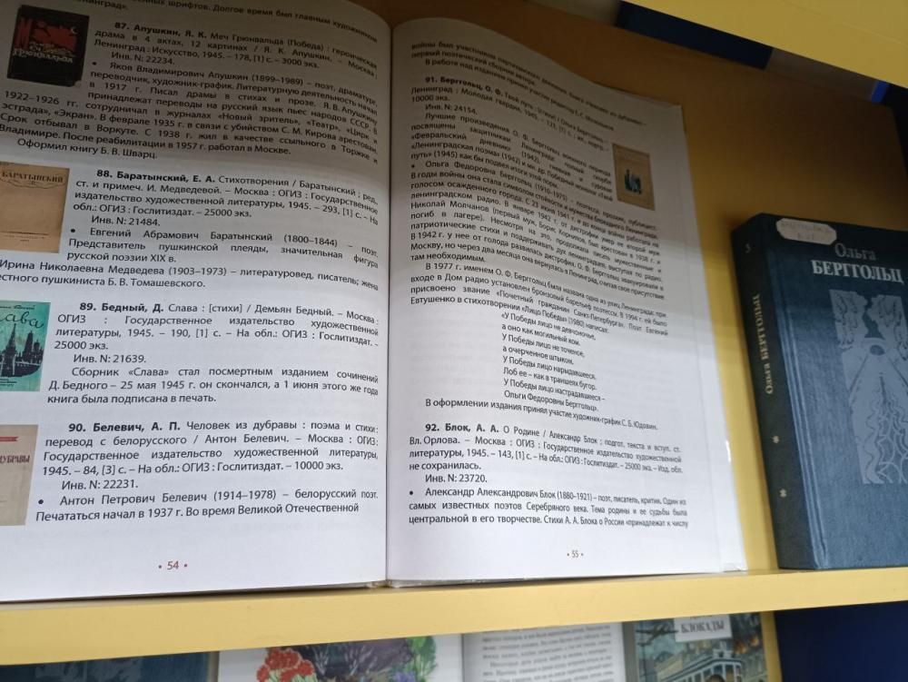 Мадонна Ленинграда
