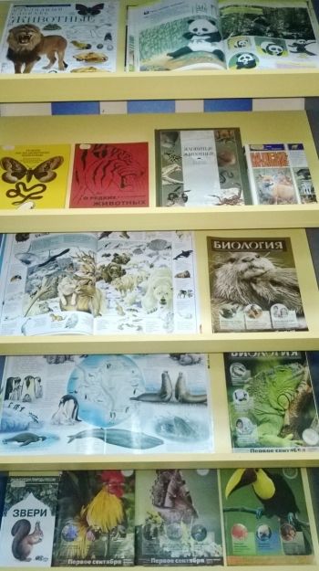 Книжные выставки АРЮБ в октябре 2017 года Книжные выставки АРЮБ в октябре 2017 года